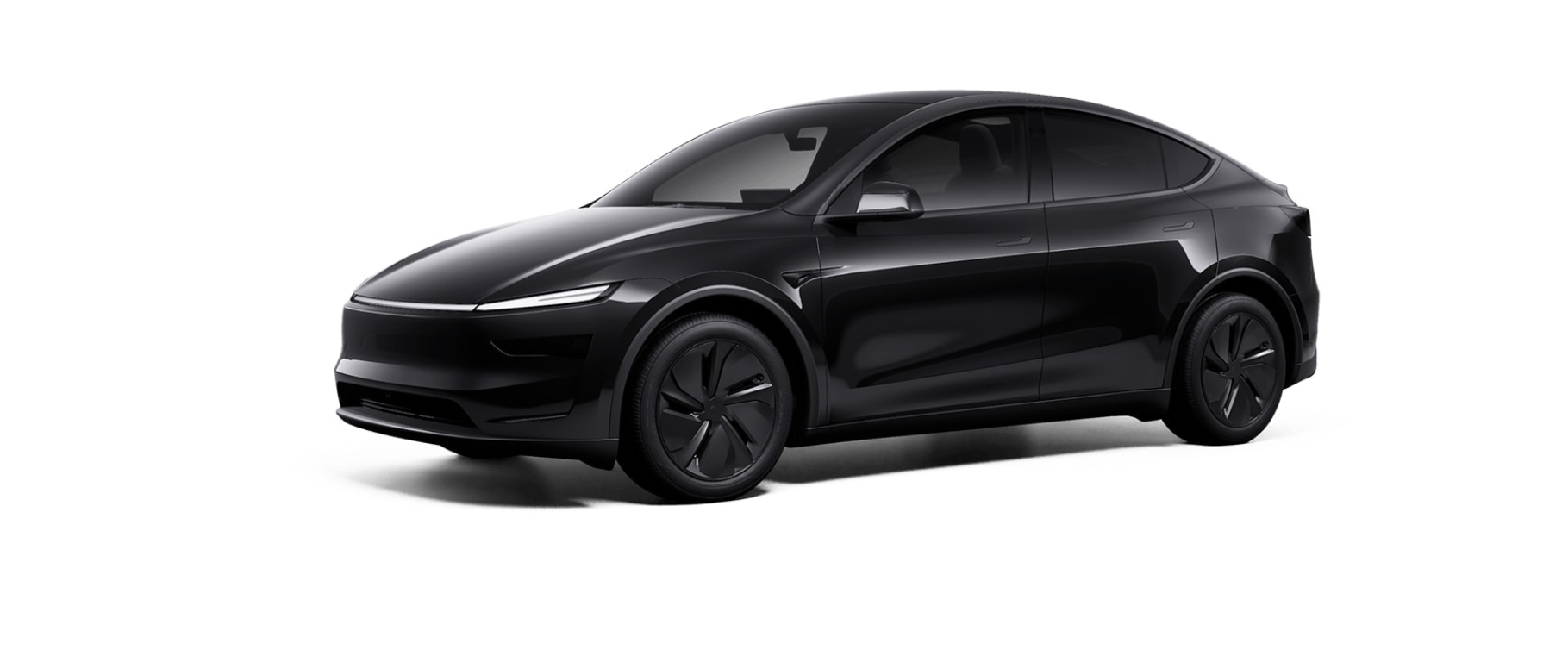 TESLA GLOBAL RENT